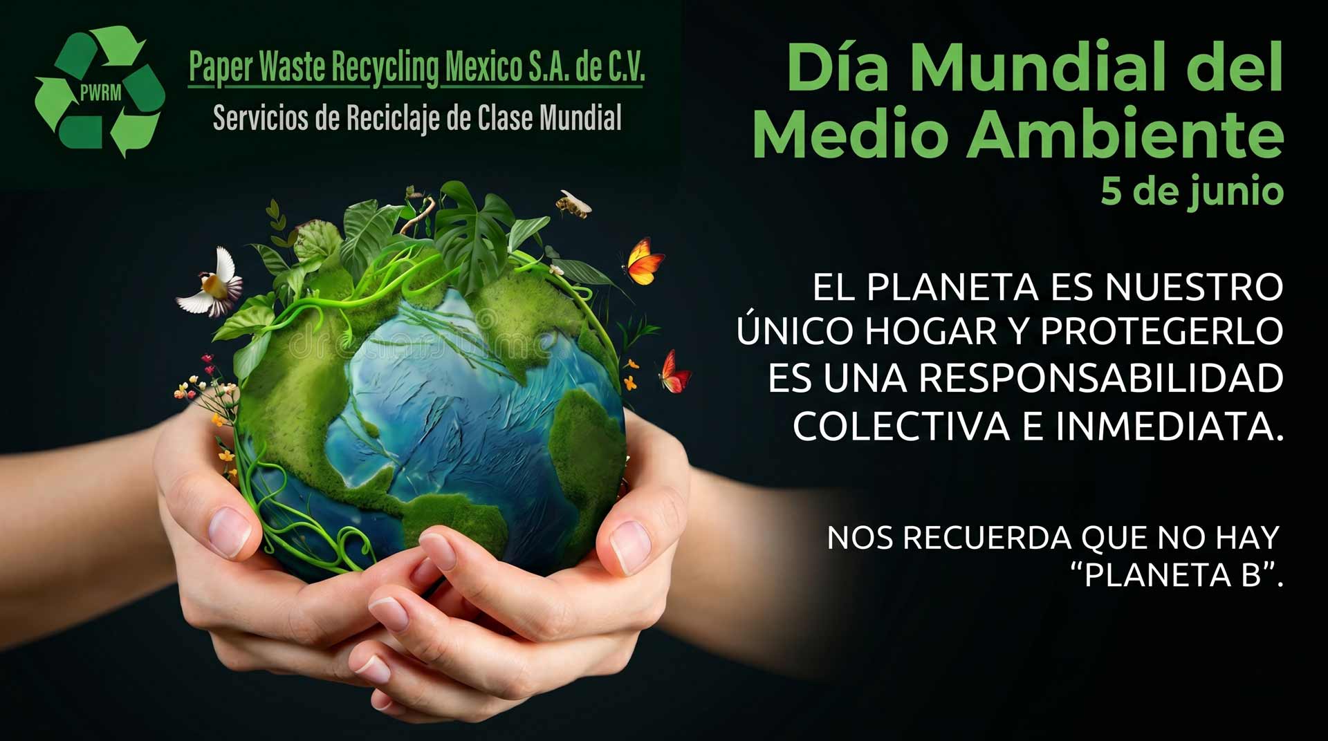 Día Mundial del Medio Ambiente: Pasar de la preocupación a la acción